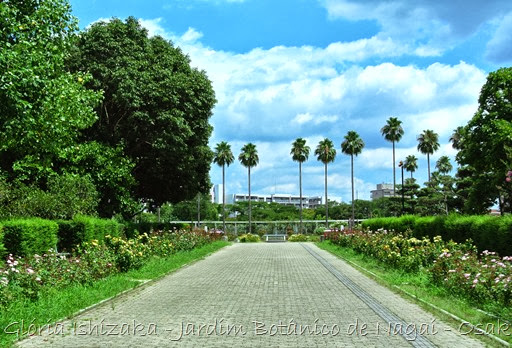 0107- Glória Ishizaka - Jardim Botânico Nagai - Osaka