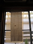 IMG_5827.JPG