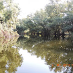 DSCN4505.JPG