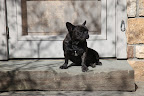 Don't you want to bask in the warm spring sun with me?  Come get your daily dose of Vitamin D!