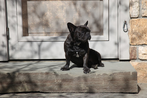 Don't you want to bask in the warm spring sun with me?  Come get your daily dose of Vitamin D!