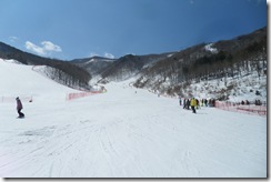 SAM_0083 SAM_0083