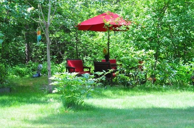 garden_backgarden