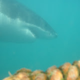 IMG_5763.JPG