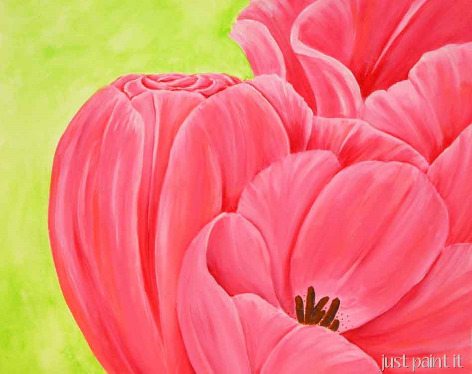 [Pink-%2526-Coral-Tulips%255B2%255D.jpg]