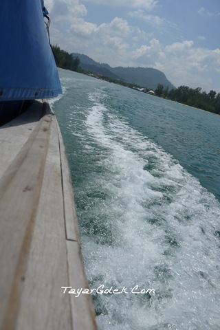 [P10101544.jpg]