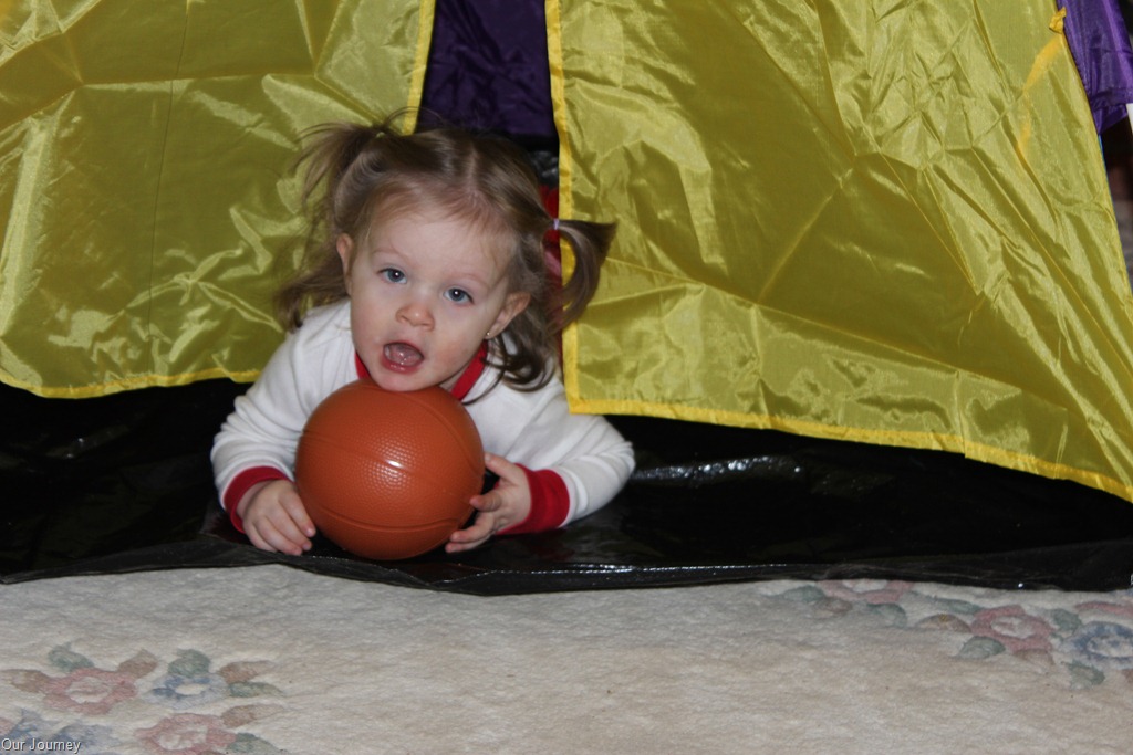 [IMG_0446%255B4%255D.jpg]
