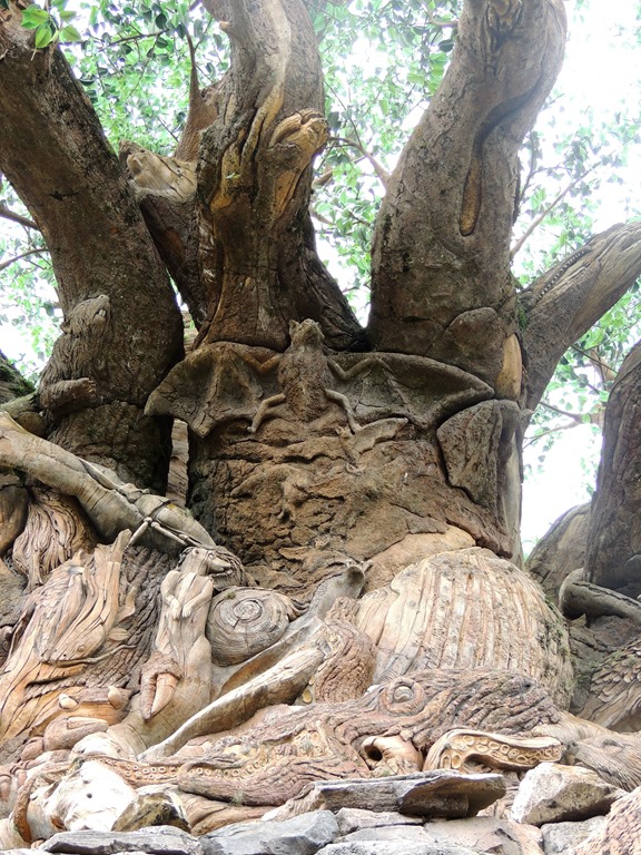 [DSCN4329%255B3%255D.jpg]