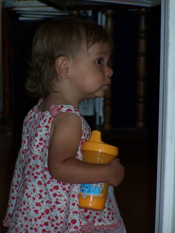 [100_3750%255B5%255D.jpg]