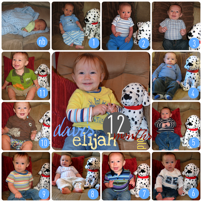 [davis%25201%2520to%252012%2520collage%255B7%255D.png]