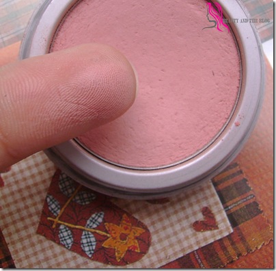 Jordana Blush in Sandalwood Review And Swatch
