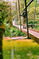 NZD2-12_PA&JK_95070004.jpg