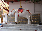 P3092336.JPG