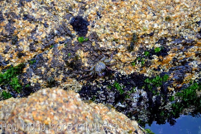 [DSC_28282.jpg]