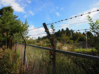 P9189799.JPG Photo