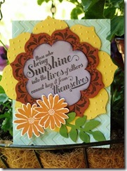 IMG_3527 IMG_3527