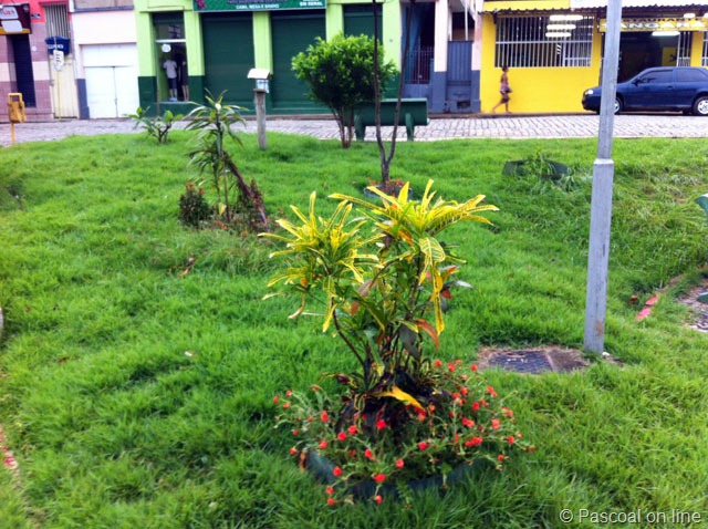 [jardim-002%255B2%255D.jpg]