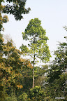 03-IMG_1035.JPG