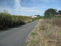 Half Moon Bay Trail Ride 3 with flat 013.JPG Photo