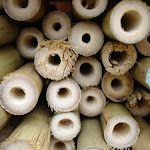 Insektenhotel Material 4.JPG