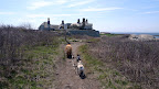 Not only does this walk take you along the gorgeous coast line, you also get to see some amazing and stately homes.