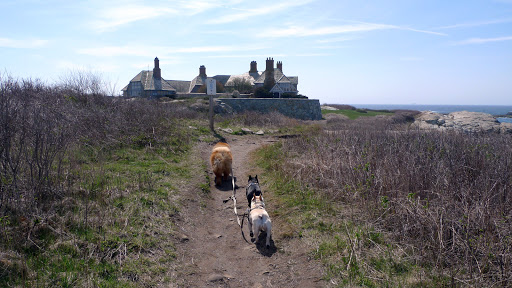 Not only does this walk take you along the gorgeous coast line, you also get to see some amazing and stately homes.