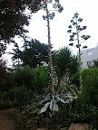IMG_20110904_115144.jpg