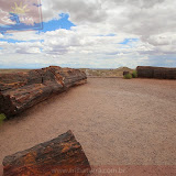 Old Faithful na Rainbow Forest -Petrified Forest National Park - Flagstaff, AZ