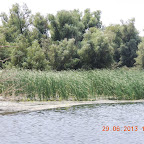 DSCN8176.JPG