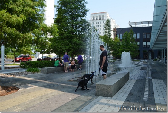DSC_0047 DSC_0047