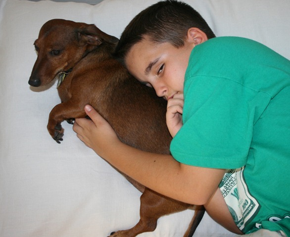 Rudi's Cushion 024