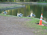 IMG_7312.JPG