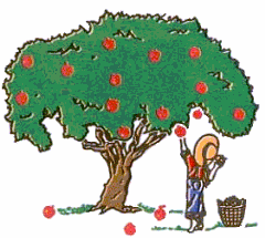 apple_tree_1b