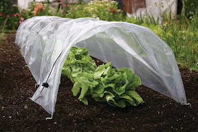 Easy Poly Tunnel - Open