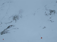 IMG_4055.jpg
