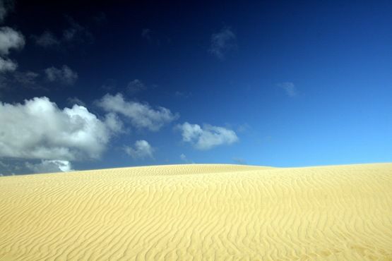 [Sand%2520dunes%2520Te%2520Paki%25203%255B4%255D.jpg]