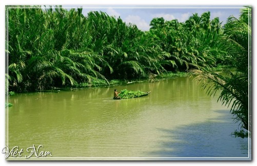 Mùa thu trên miền sông nước Long An, Việt Nam