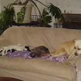 Charlie, Grace and Sam.