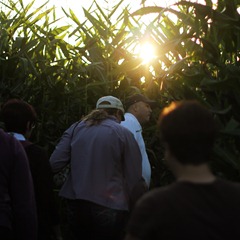 20110906 corn maze (26) edit2