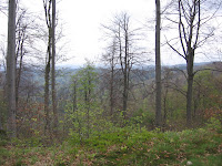 photo2009-05-09T11:40:20-000026.JPG