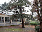 Lycée Livet