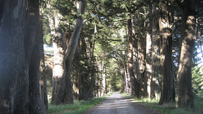 IMG_5144.JPG