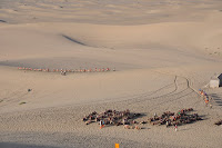 DSC_0378.JPG