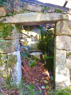 [P1190469%255B3%255D.jpg]