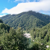 Between Westport and Kohaihai