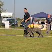 IMG_2899.JPG