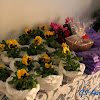 IMG_1221.JPG