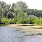 DSCN8376.JPG