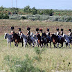 Albuera 1811-2011 Christophe Jagusiak-763.jpg