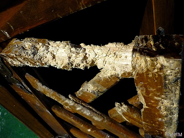 [P11404855.jpg]